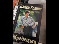 Stallion Jackie Collins