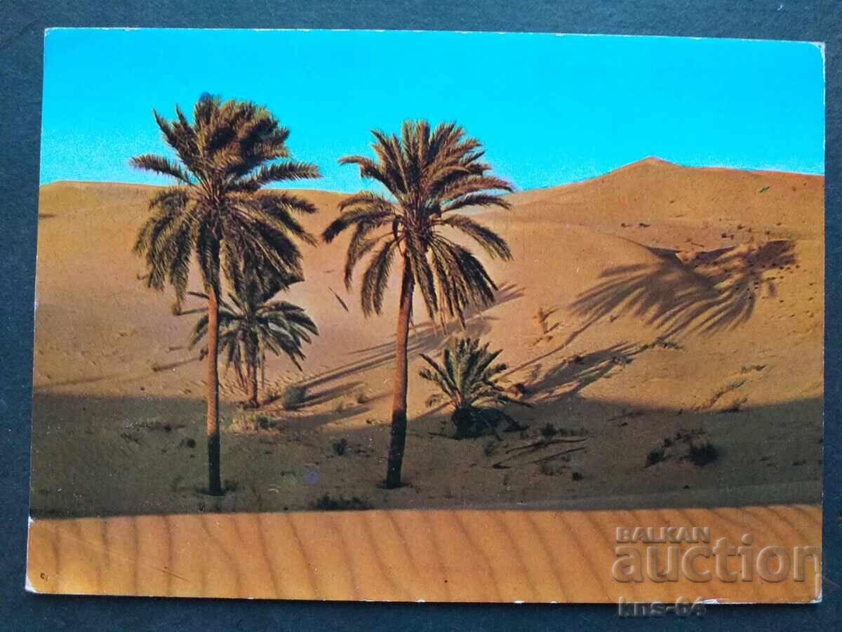 Тунис Пътувала Тунис Пътувала