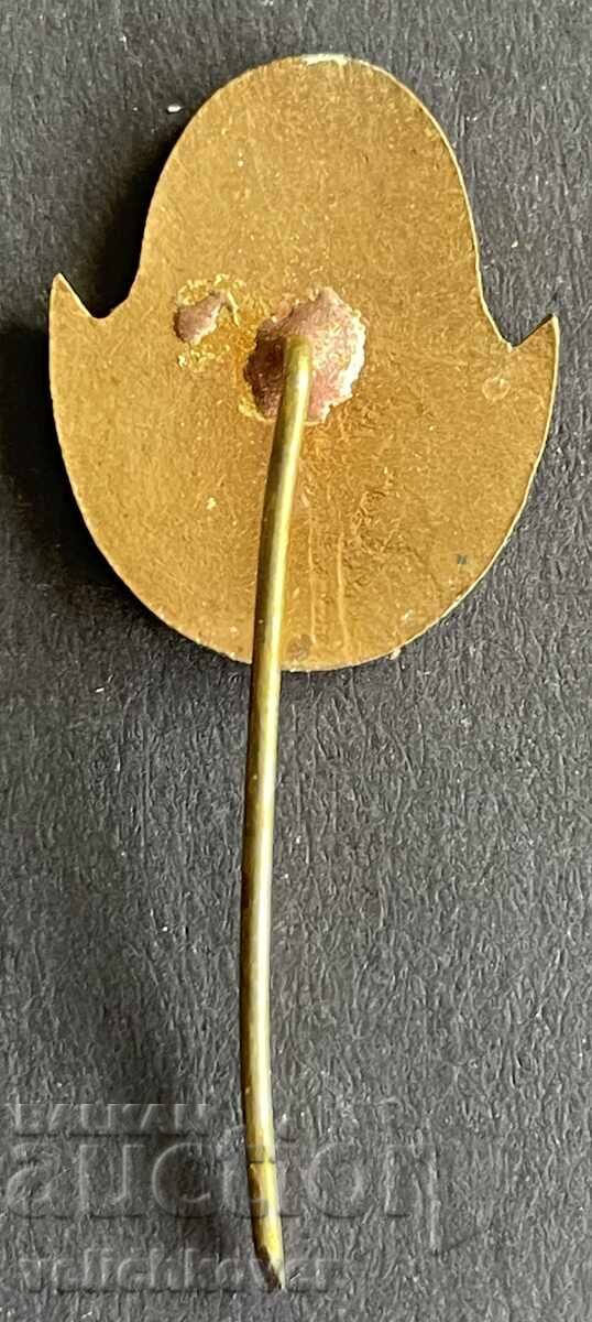 42158 Bulgaria stamp 70th anniversary Horo Sedyanka Ruse enamel 1964 with price 25.00 BGN | € 12.78 42158 Bulgaria stamp 70th anniversary Horo Sedyanka Ruse enamel 1964 with price 25.00 BGN | € 12.78