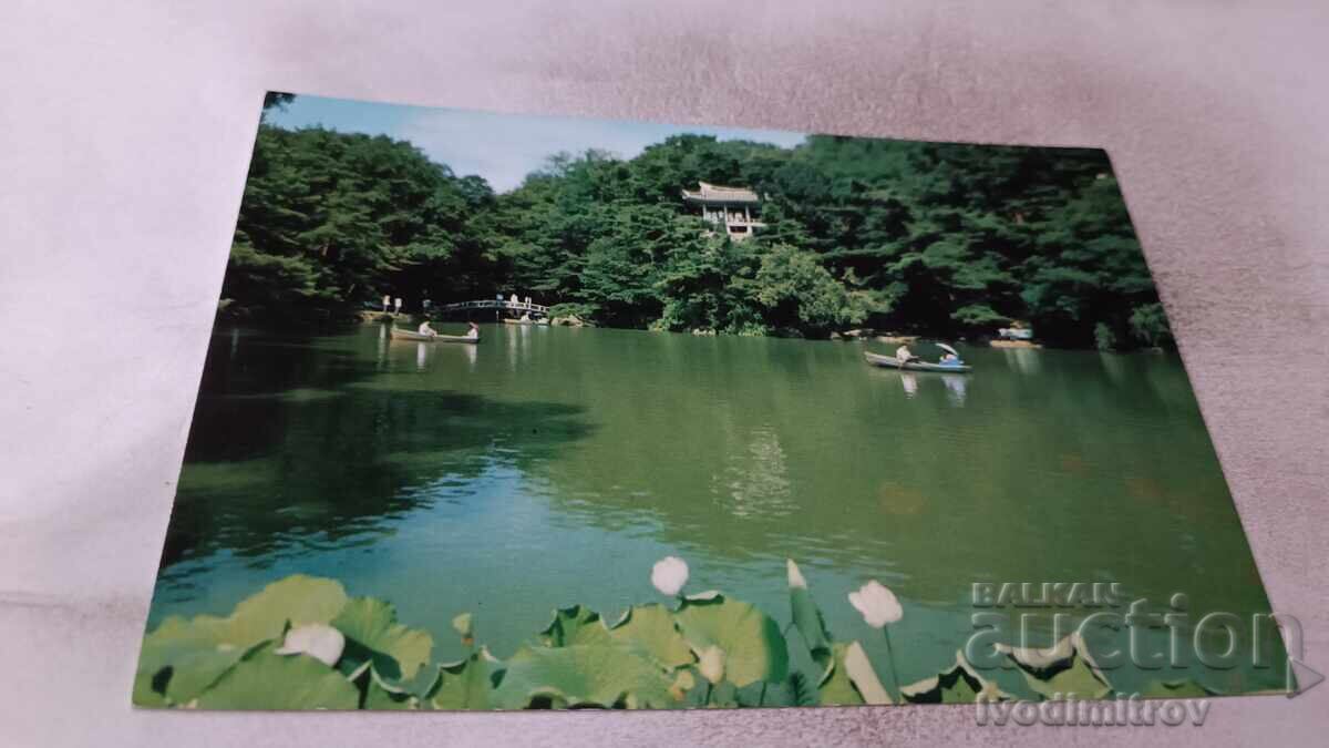 P K Locul de Navigație al Căminului de Odihnă Usanjang