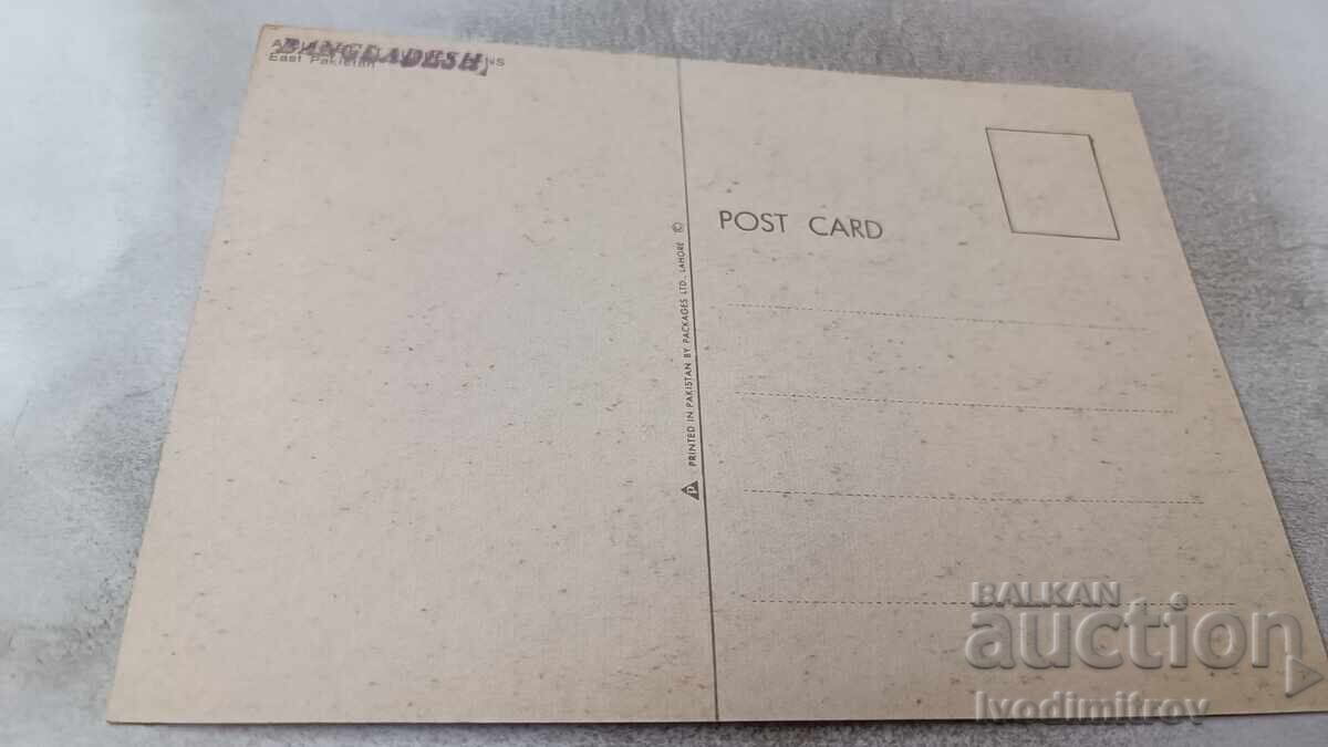 Εικόνα καρτ ποστάλ Ένα Ηλιοβασίλεμα στο Sunder Bans με τιμή 0.85 BGN | € 0.43 Εικόνα καρτ ποστάλ Ένα Ηλιοβασίλεμα στο Sunder Bans με τιμή 0.85 BGN | € 0.43