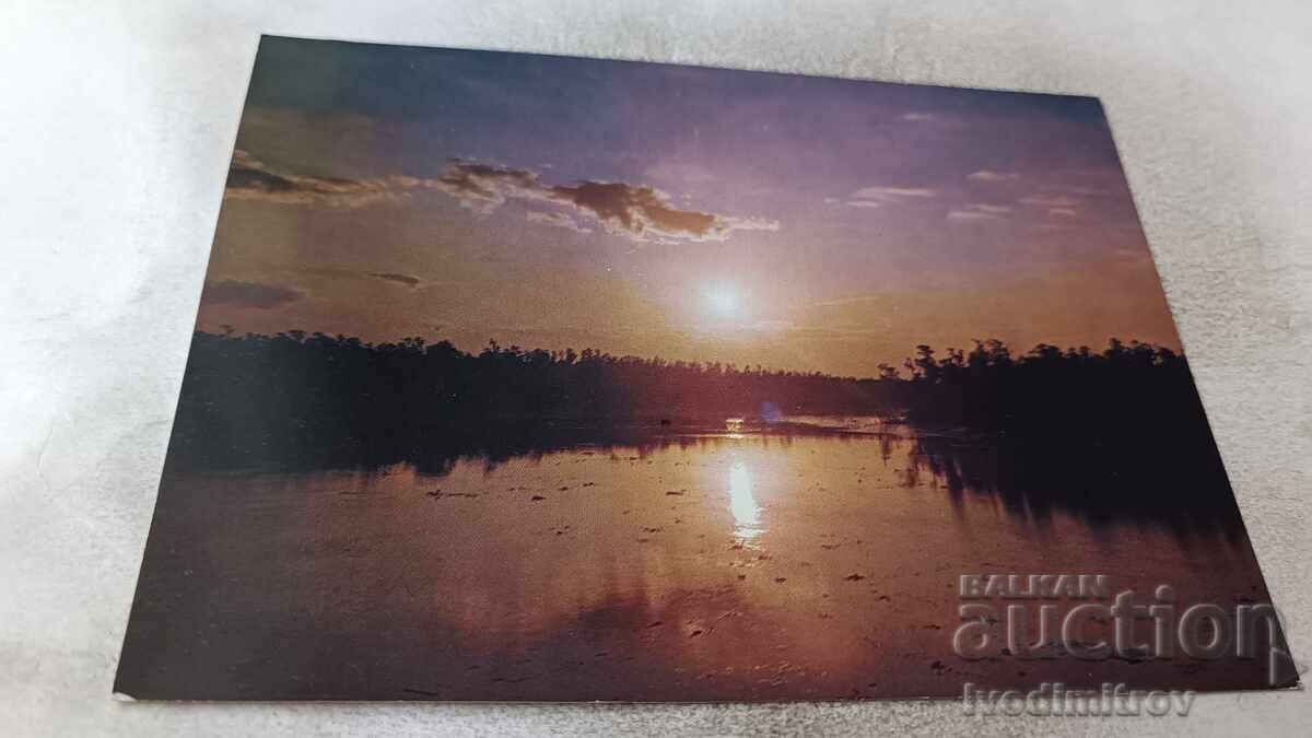 Εικόνα καρτ ποστάλ Ένα Ηλιοβασίλεμα στο Sunder Bans Εικόνα καρτ ποστάλ Ένα Ηλιοβασίλεμα στο Sunder Bans