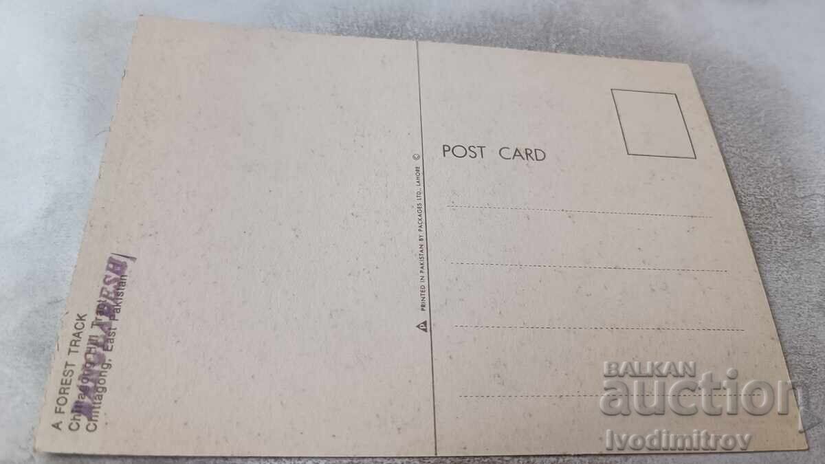 Postcard A Forest Track with price 0.85 BGN | € 0.43 Postcard A Forest Track with price 0.85 BGN | € 0.43