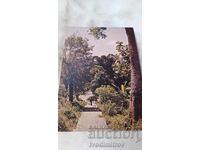 Postcard A Forest Track