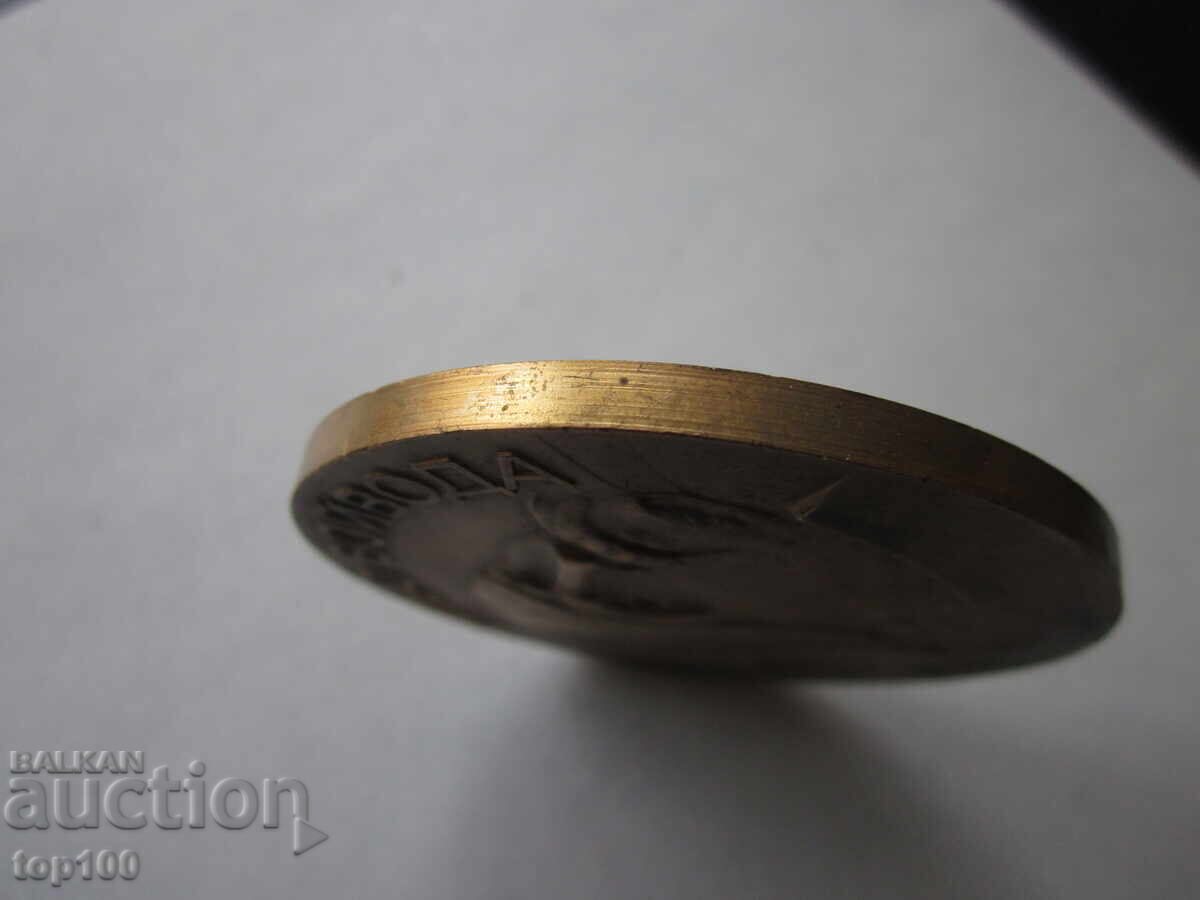 BRASS PLAQUE ILIO VOIVODA 1988 BZC!!! - 5