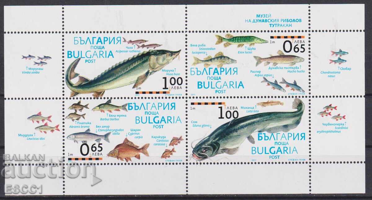 Bloc curat Pește Dunărean 2011 din Bulgaria