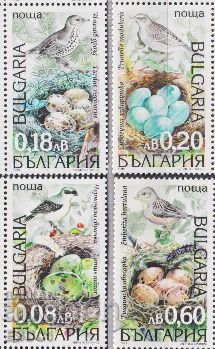 Καθαρές γραμματόσημες Φαύνα Πτηνά 1999 από Βουλγαρία