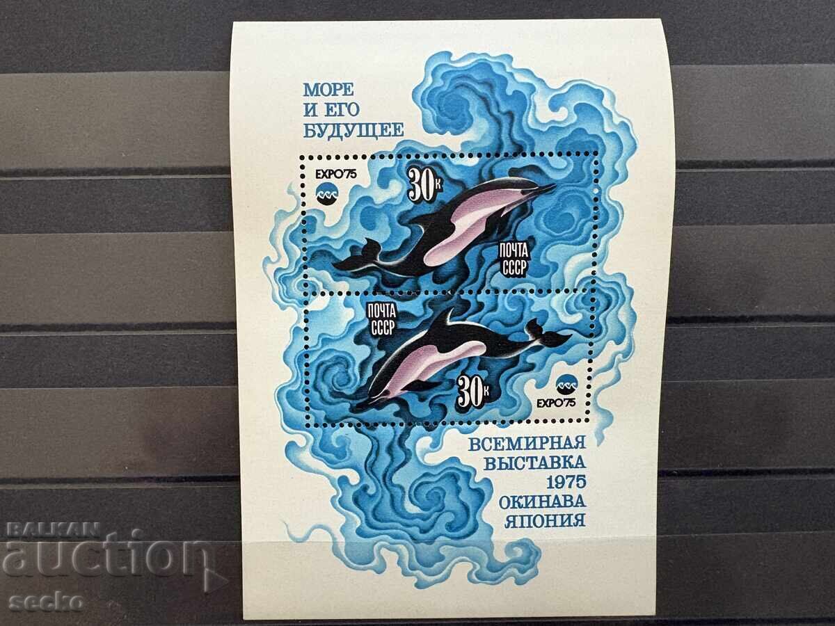 Σ.Σ.Σ.Ρ. - Θαλάσσια Ζώα - Διεθνής Έκθεση...(1975) MNH Σ.Σ.Σ.Ρ. - Θαλάσσια Ζώα - Διεθνής Έκθεση...(1975) MNH