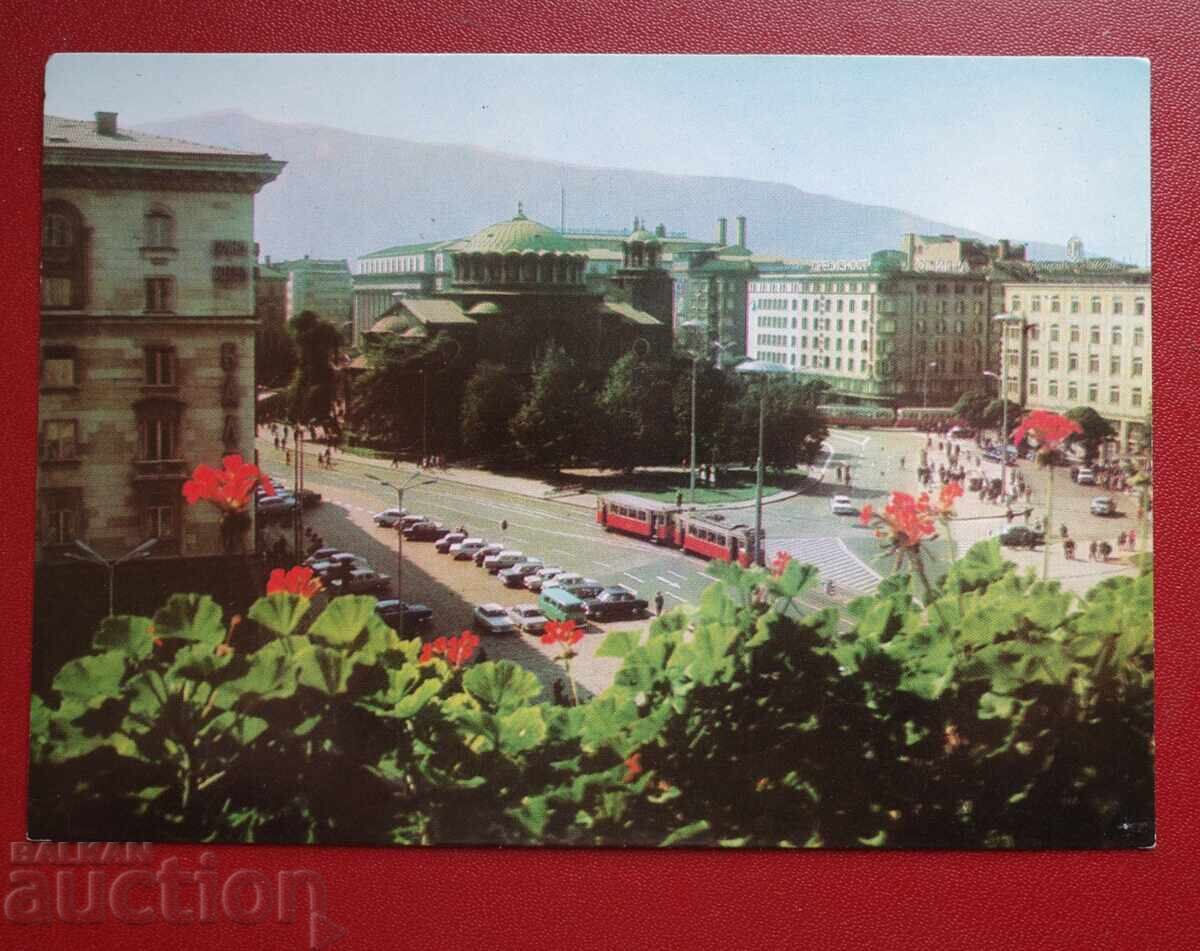 Σοφία Σοφία