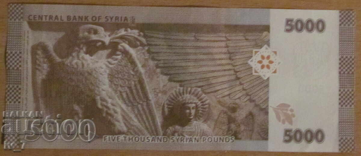 5000 ΛΙΡΕΣ 2019, aUNC, ΣΥΡΙΑ με τιμή 4.99 BGN | € 2.55