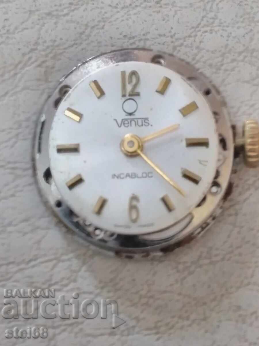 CEAS DE DAMĂ -- VENUS cu preț 35.00 BGN | € 17.90