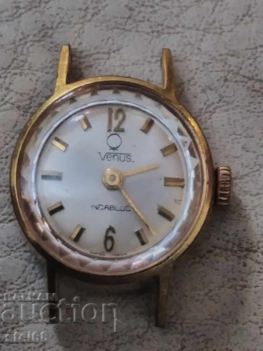 CEAS DE DAMĂ -- VENUS