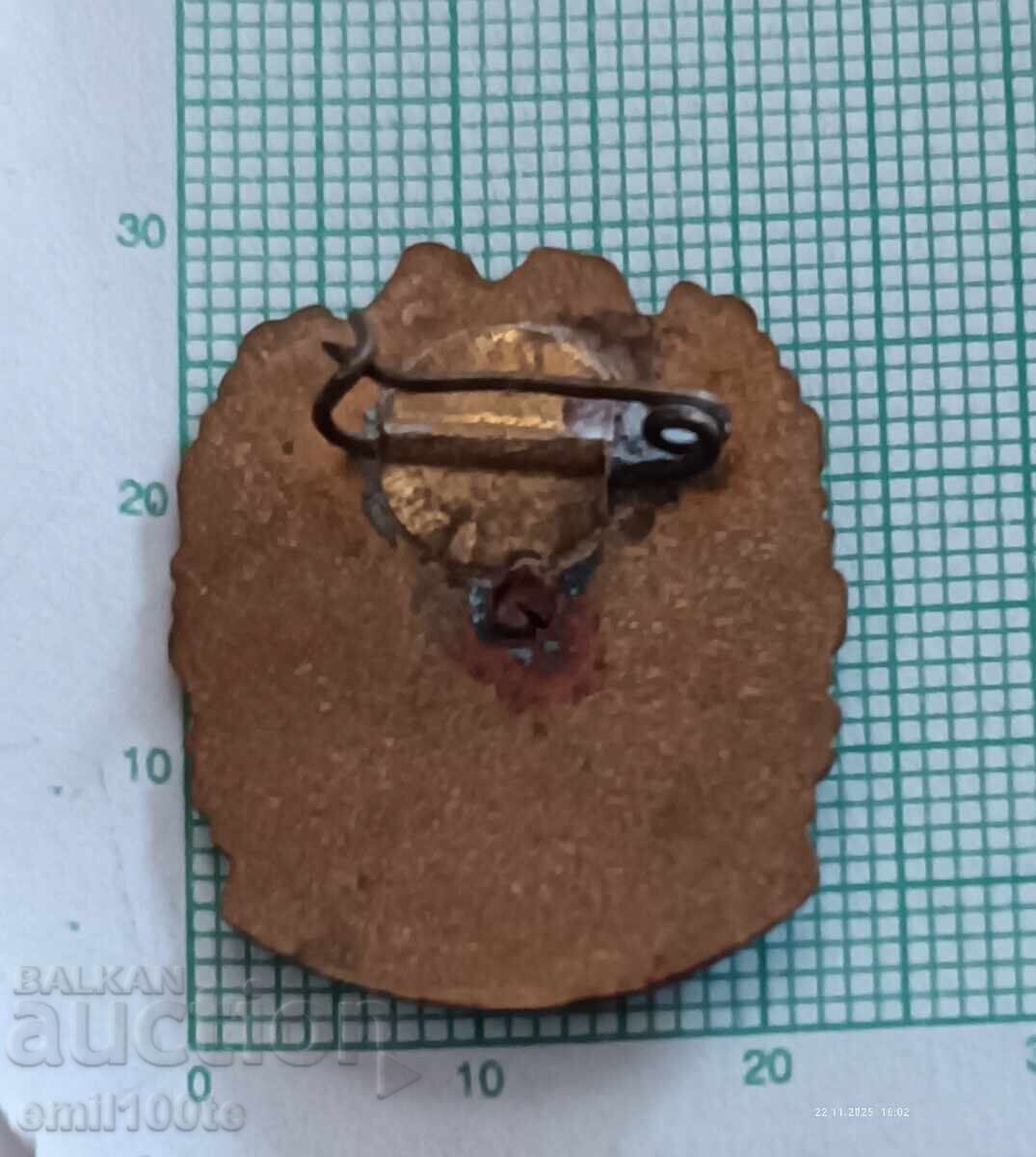 Badge - Conqueror of Mountain Peaks - 6