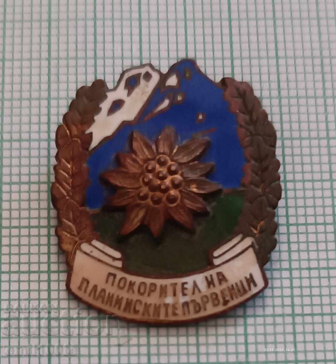 Badge - Conqueror of Mountain Peaks