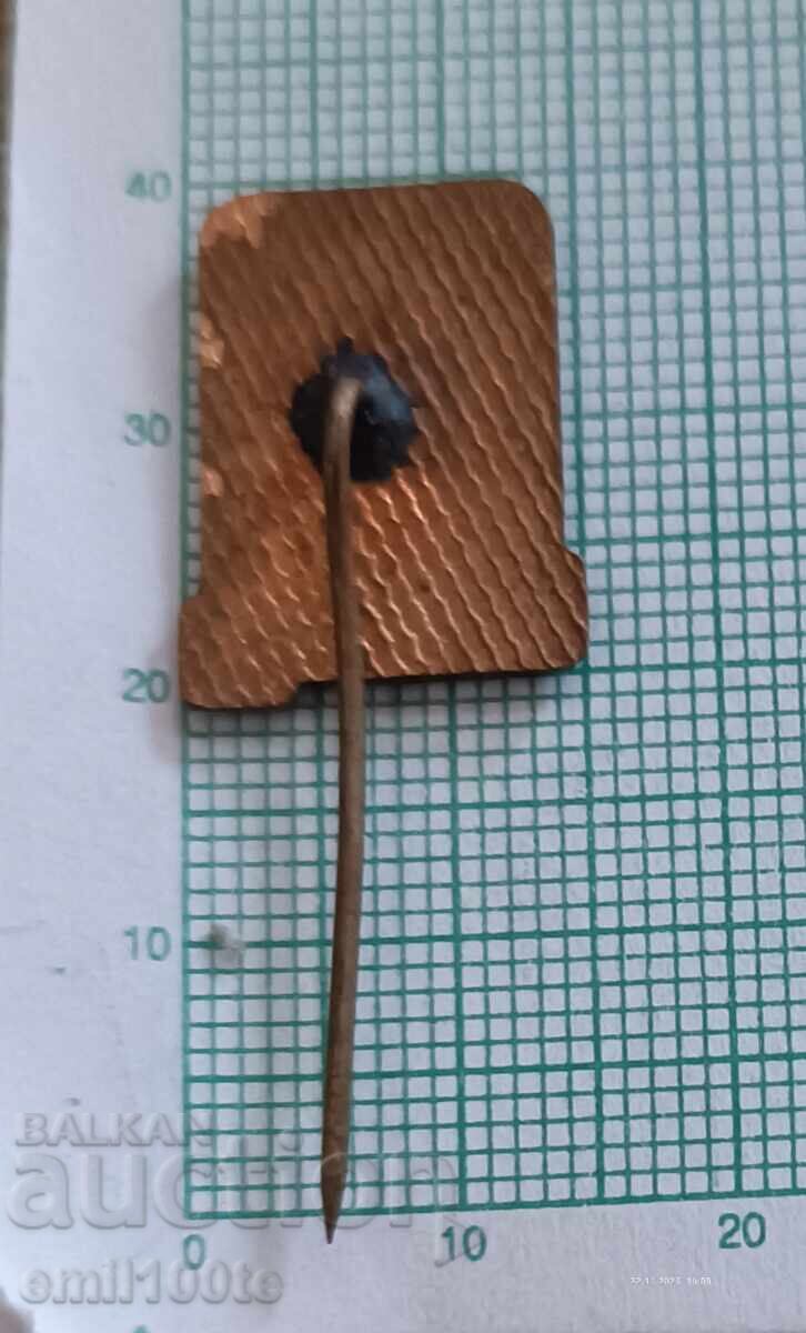 Доставка на Значка- УПДС Мальовица