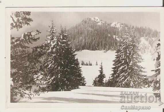 Картичка  България  Зимен пейзаж 15**