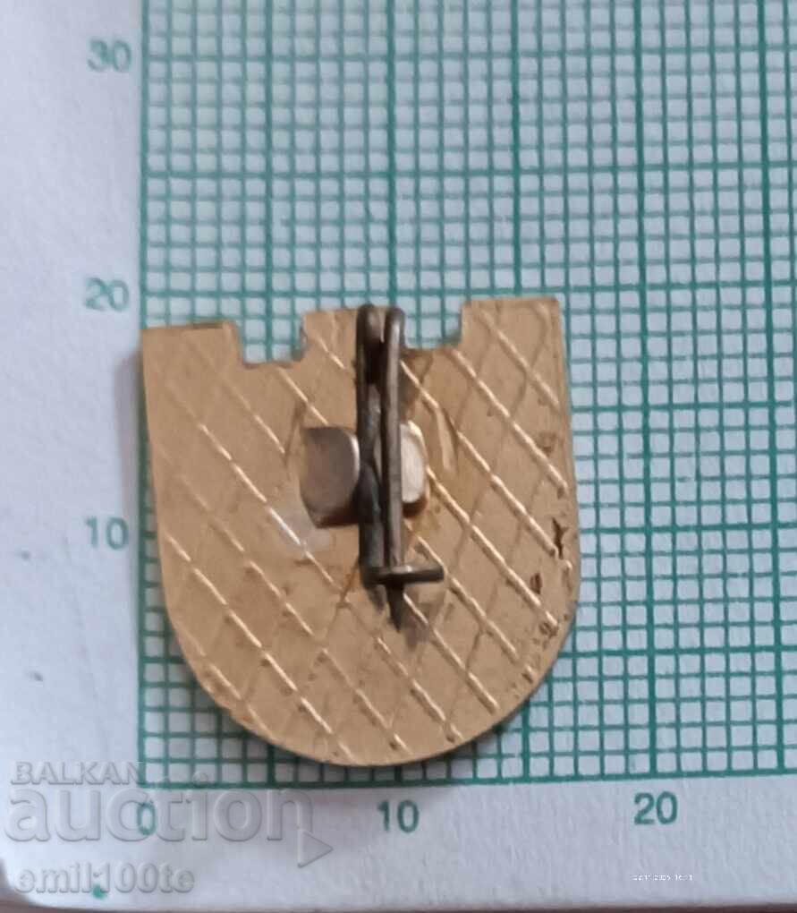 Delivery of Badge - Recognize the Native Region Sofia