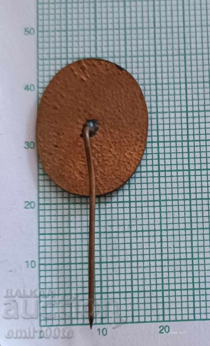 Παράδοση Σηματάκι - Υπερασπιστής της φύσης Παράδοση Σηματάκι - Υπερασπιστής της φύσης