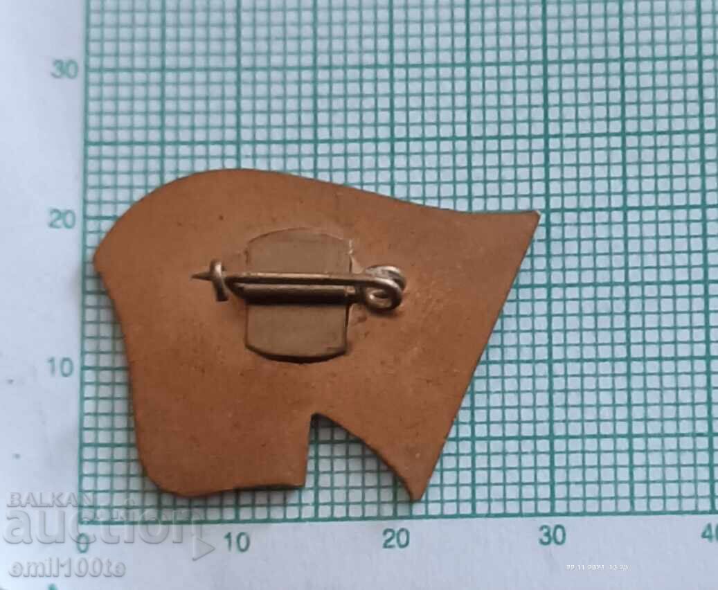 Livrarea Insigna - Conferința de petrecere a orașului Sofia 1974