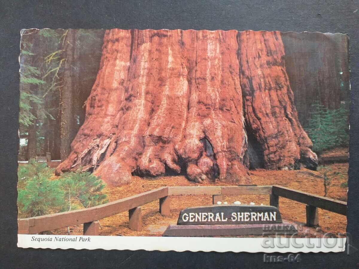 САЩ Пътувала САЩ Пътувала