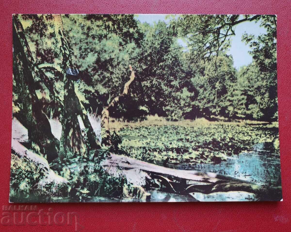 Ποταμός Ροποτάμο Ποταμός Ροποτάμο