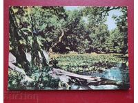 Ποταμός Ροποτάμο