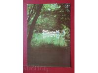 Ποταμός Ροποτάμο