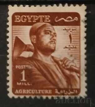 Египет Египет