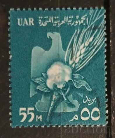 Ηνωμένα Αραβικά Εμιράτα Πτηνά Ηνωμένα Αραβικά Εμιράτα Πτηνά