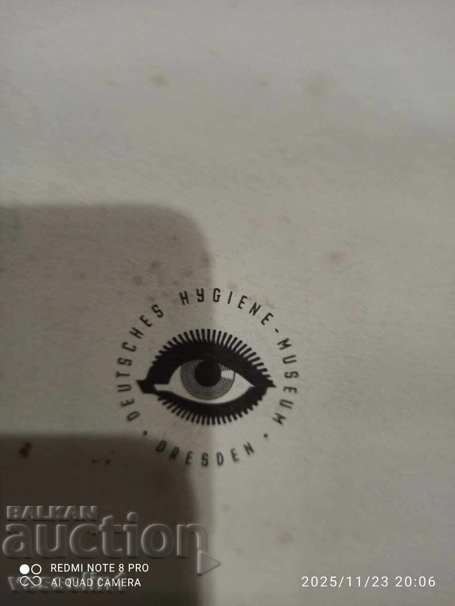 Delivery of Old educational board from the Deutsches Hygiene Museum - Brain section