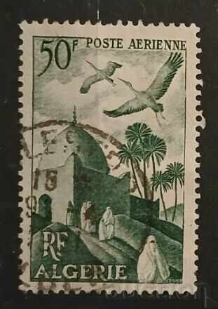 Algeria Fauna/Birds Algeria Fauna/Birds