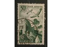 Algeria Faună/Păsări