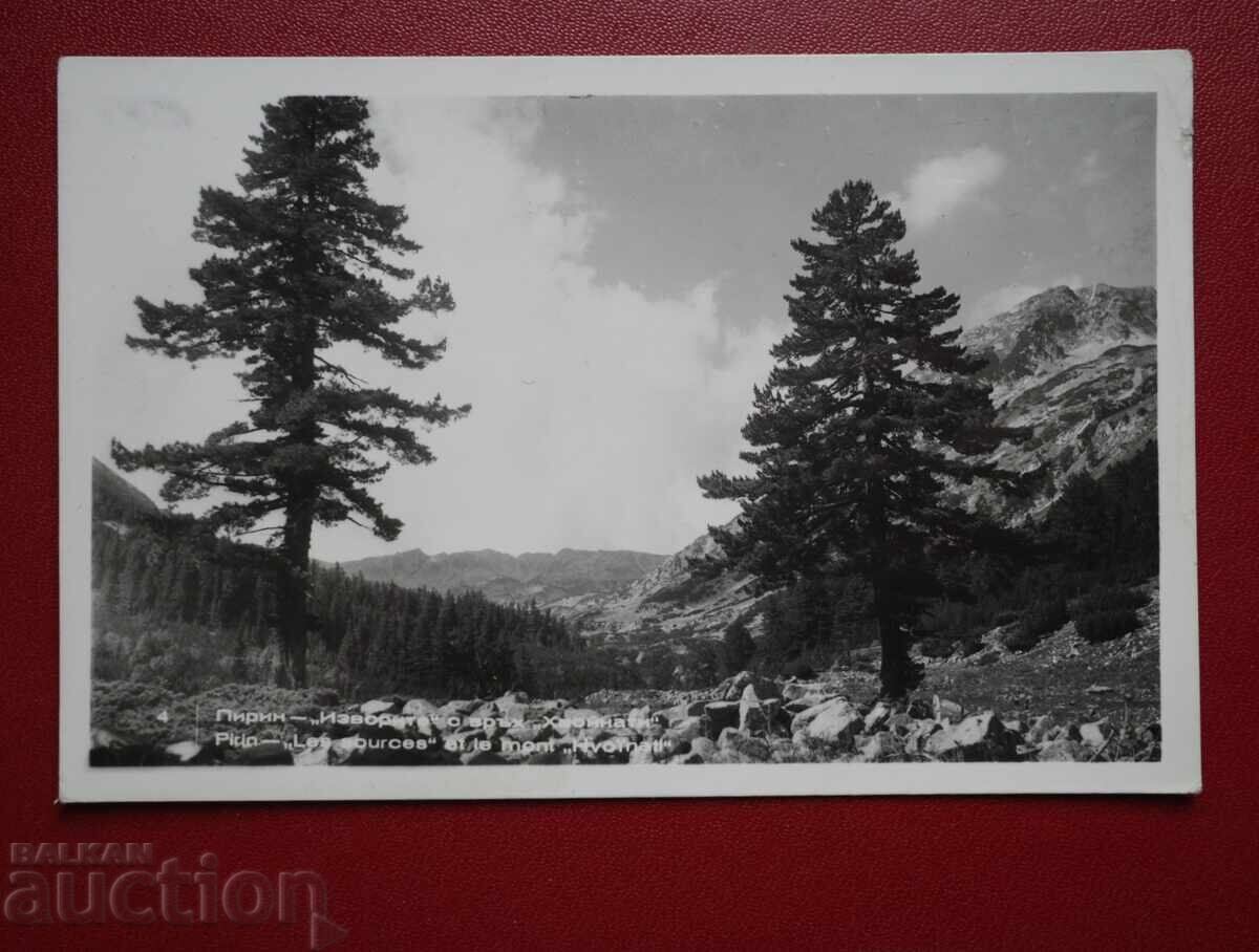 Πιρίν Πιρίν