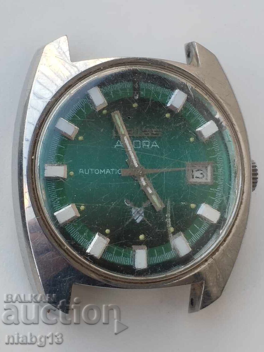 Πάλλας Αδόρα - 5 Πάλλας Αδόρα - 5