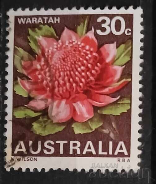 Αυστραλία Φλόρα/Λουλούδια