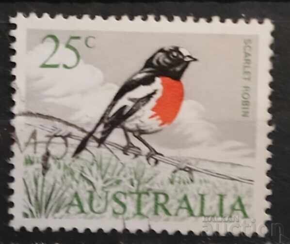 Австралия Фауна/Птици