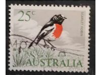 Австралия Фауна/Птици