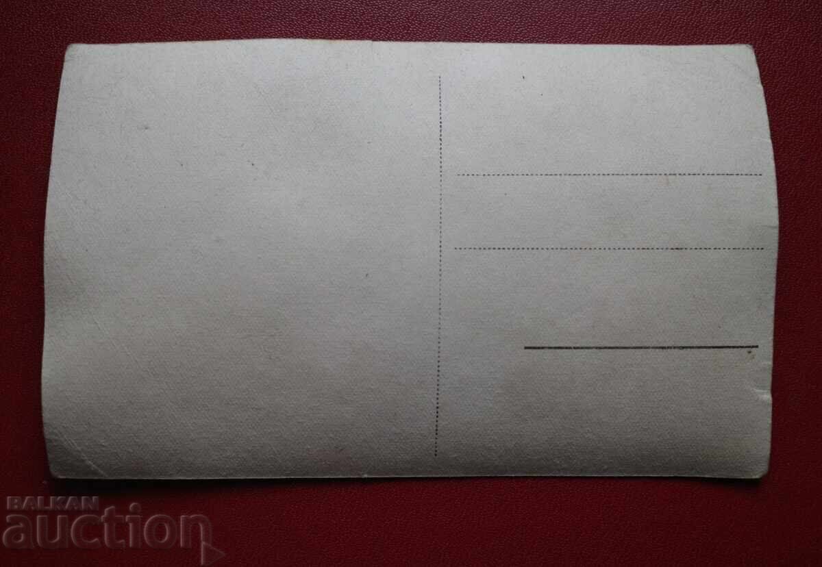 Costenez - v. Belmeken with price 3.00 BGN | € 1.53 Costenez - v. Belmeken with price 3.00 BGN | € 1.53