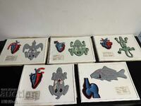 Соц Учебни Табла Биология