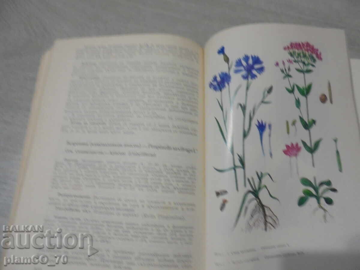 Auction  №*8384 old book - "Herbs in Every Home"