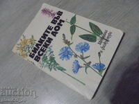 №*8384 old book - "Herbs in Every Home"