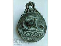 Старинна щипка метална