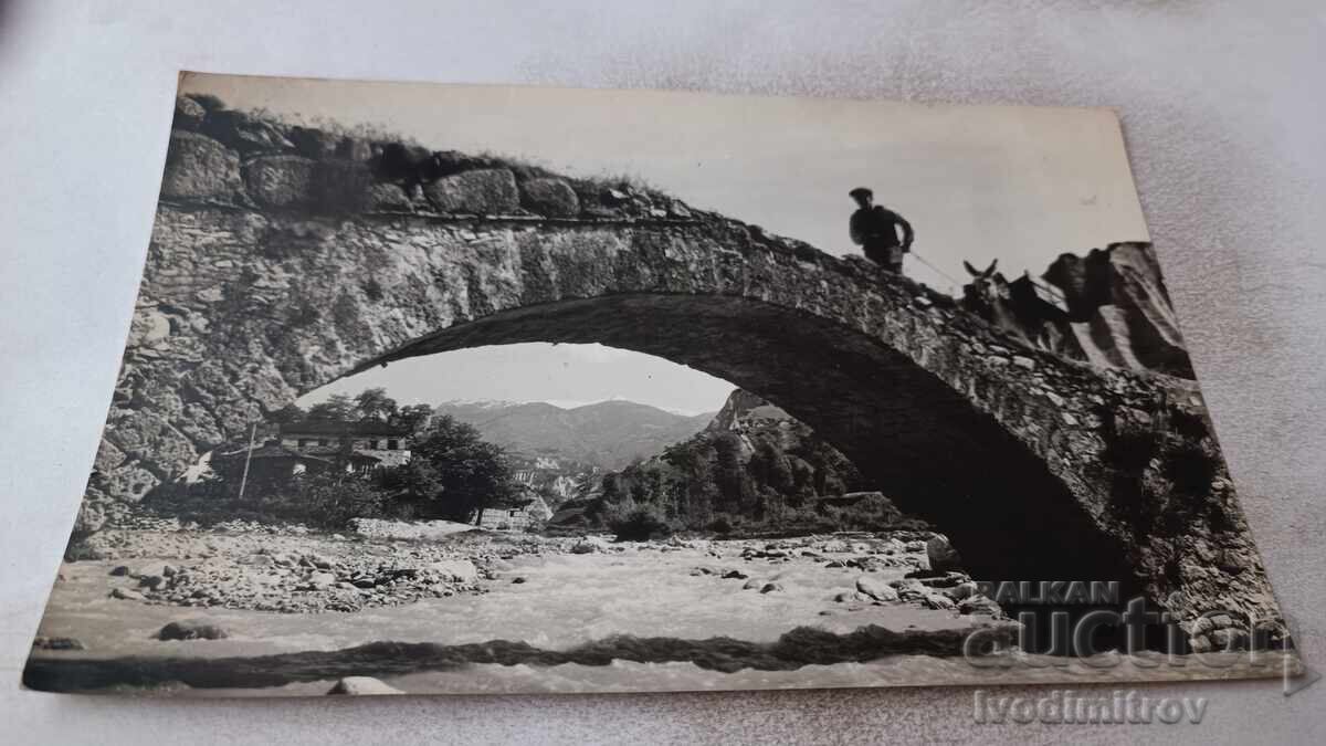 Photo of Rhodope Mountains: Man with donkey crossing Roman bridge