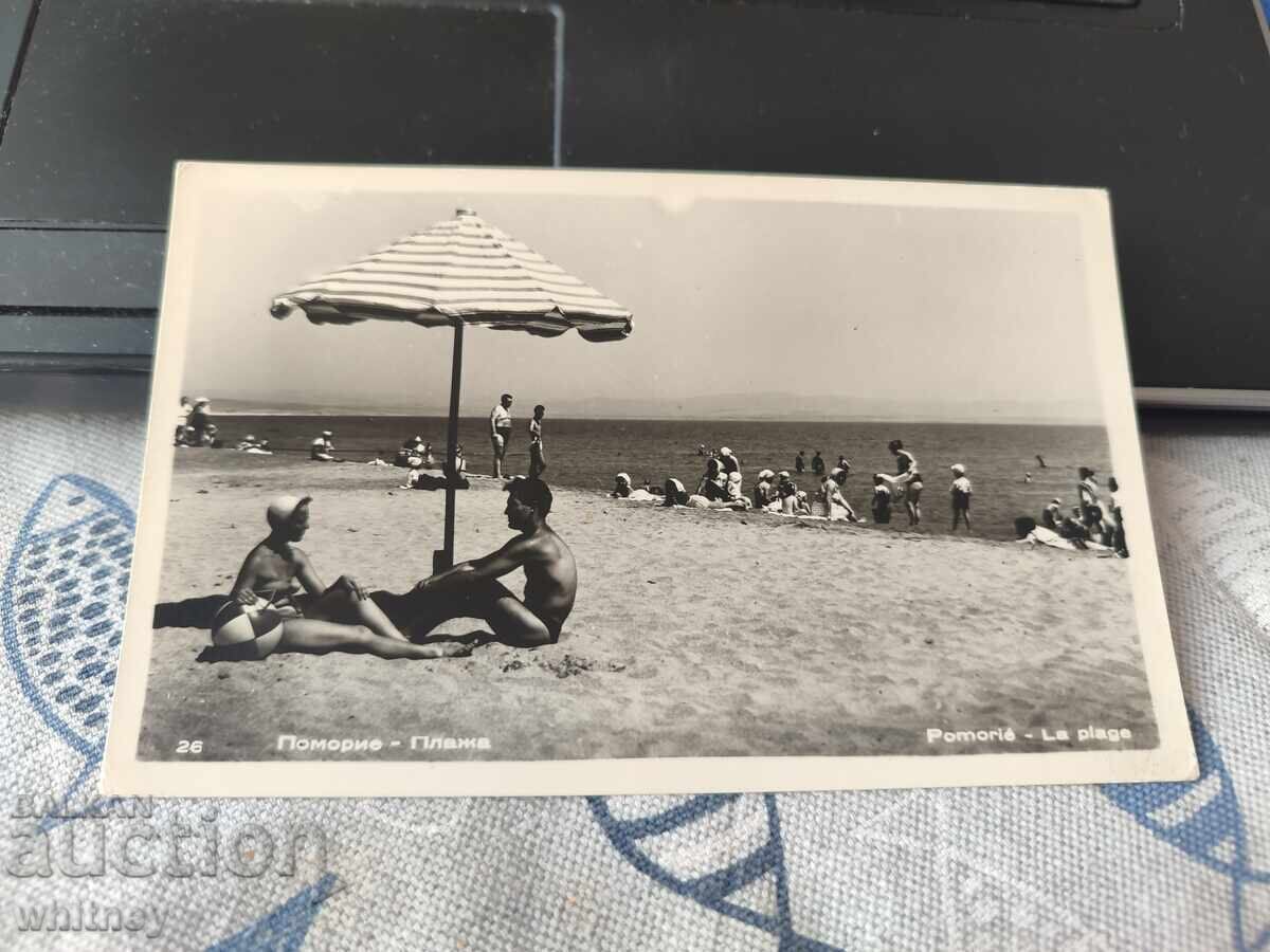 Πομόριε Πομόριε