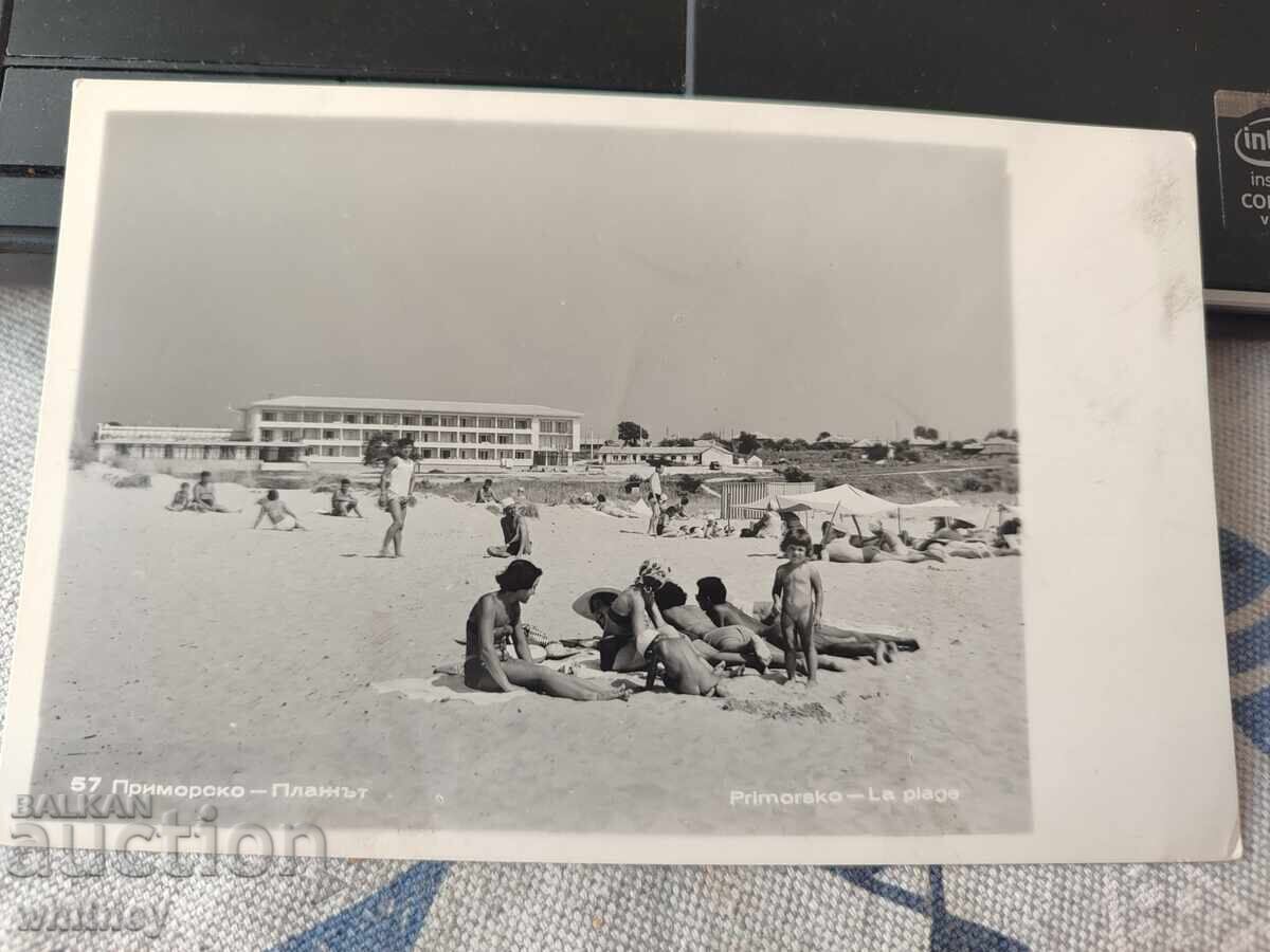 Πριμόρσκο 5