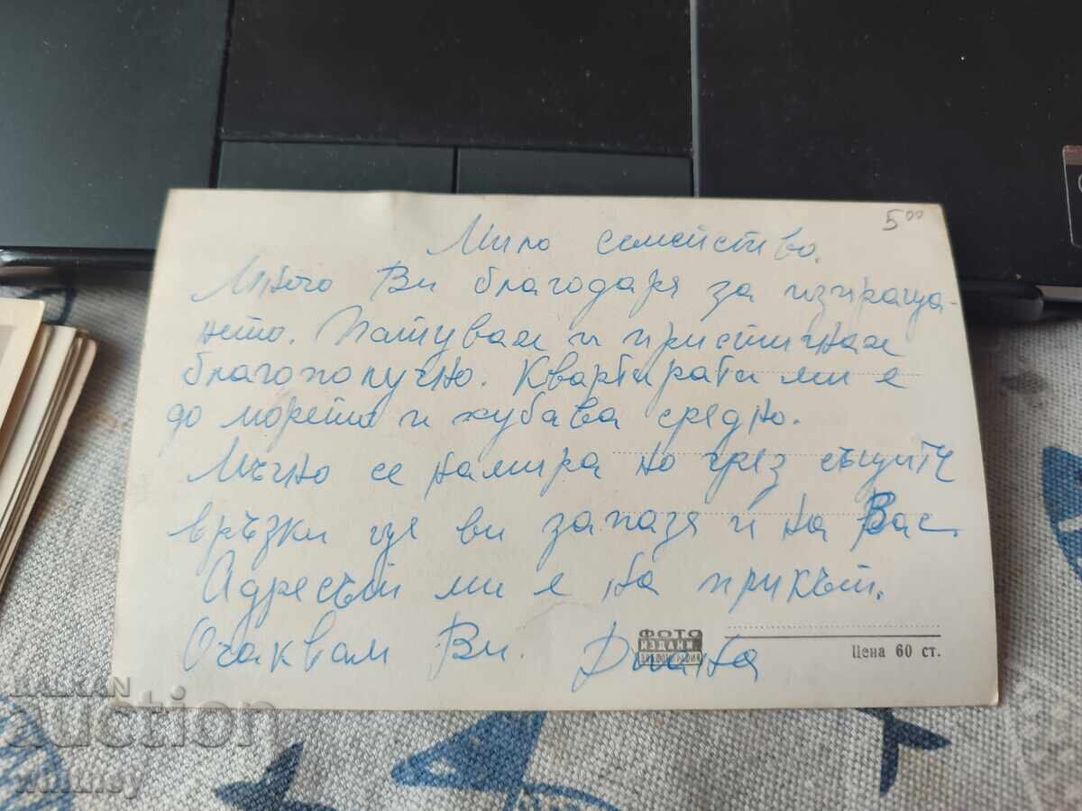 Pisoi cu preț 2.99 BGN | € 1.53