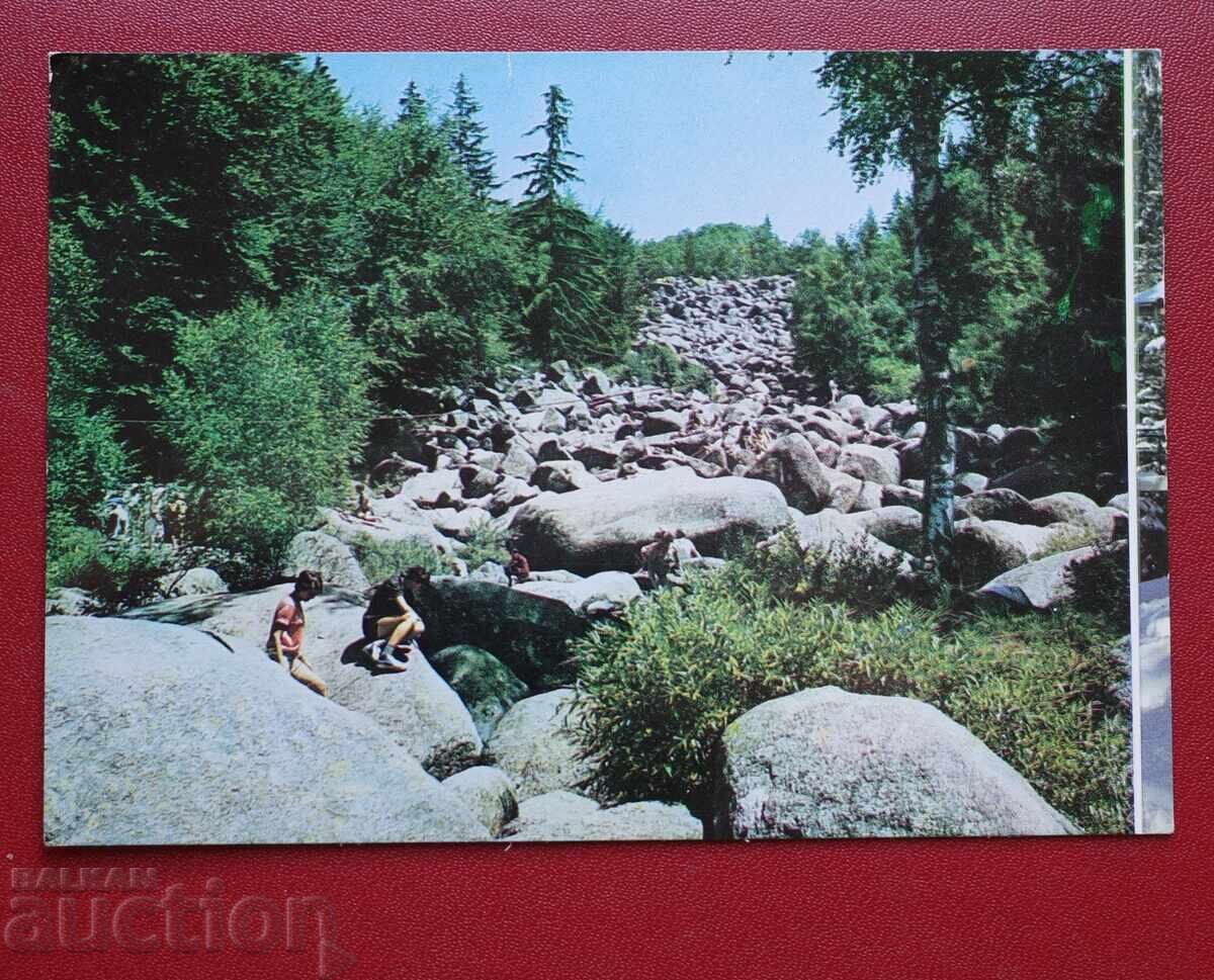 Sofia - The Golden Bridges