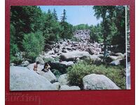 Σόφια - Χρυσές Γέφυρες