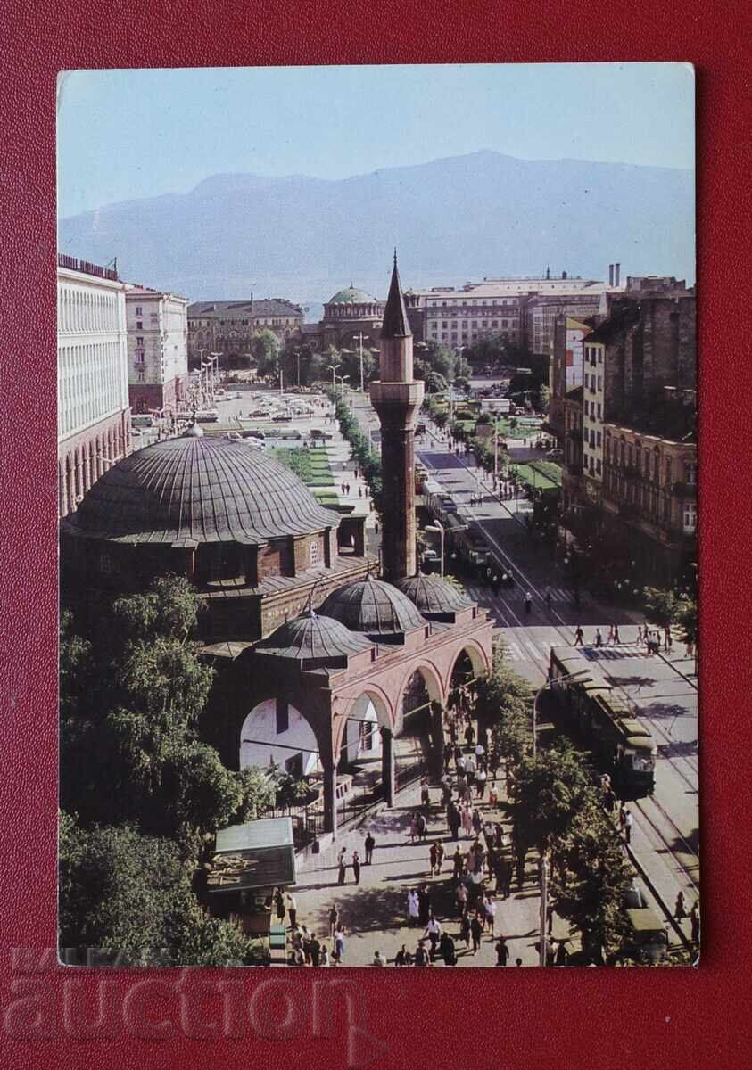 Σοφία Σοφία