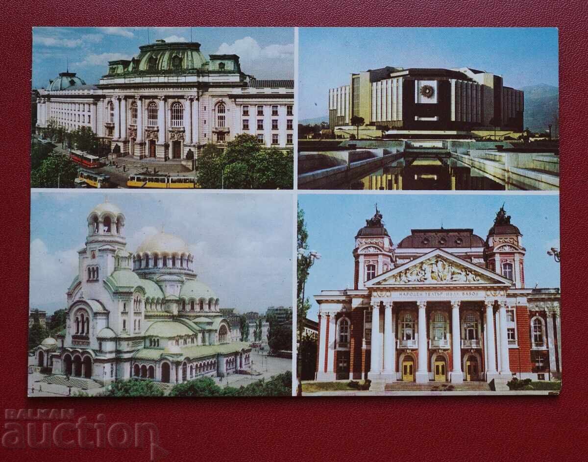 Σοφία Σοφία